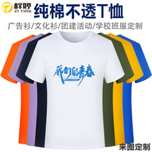 精梳纯棉短袖t恤圆领体恤广告文化衫校服班服活动团建服装印logo