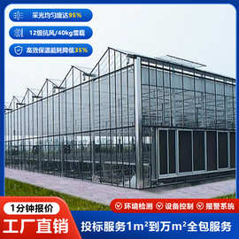 智能温室大棚连栋连体大棚采摘蔬菜瓜果种植可内外遮阳餐厅阳光房