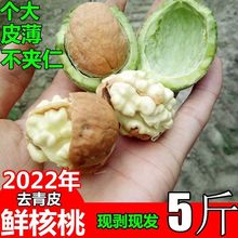 2022年新货现摘去青皮湿核桃薄皮嫩核桃去青皮核桃新鲜孕妇生核桃