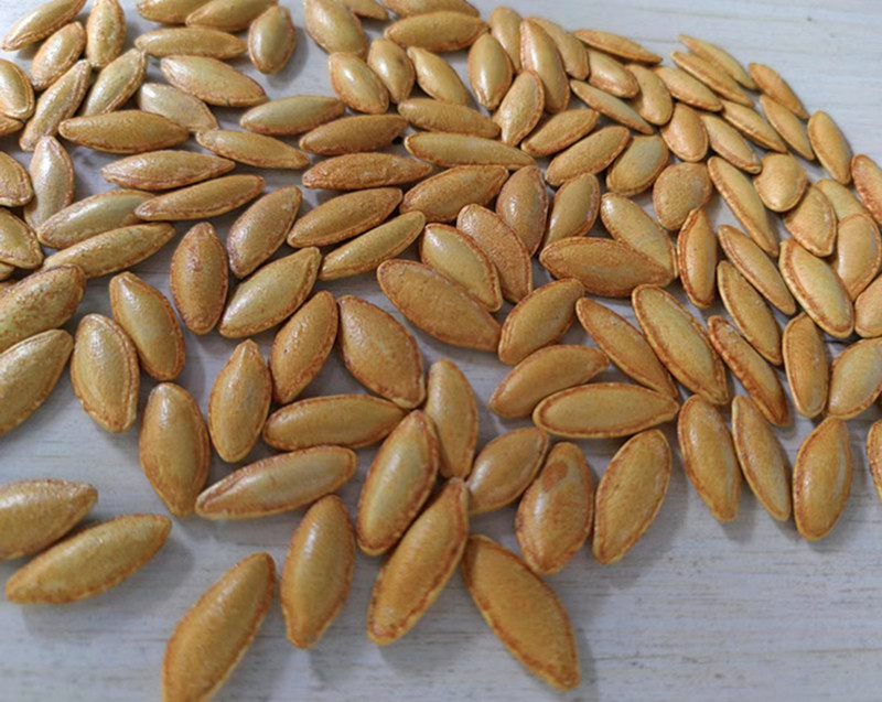 新货长粒美人甲型椒盐美指甲型南瓜子颗粒饱满休闲零食厂家价