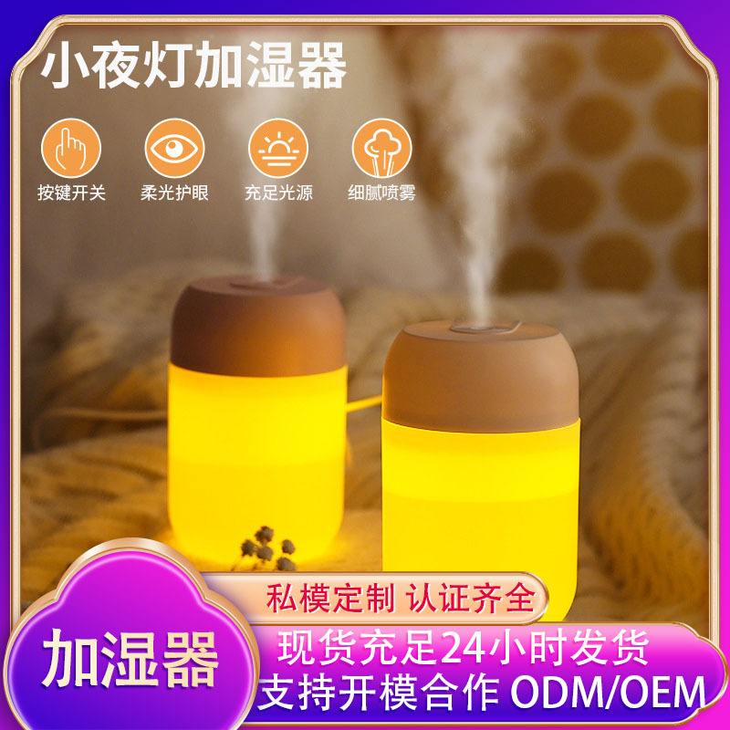 New Night Light Humidifier Home USB Large Capacity Large Spray Night Light Mute Mini Air Purifier Gift