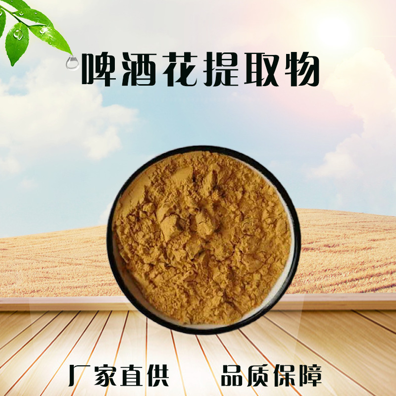 0成交2千克啤酒花提取物 10:1 啤酒花粉 啤酒花浸