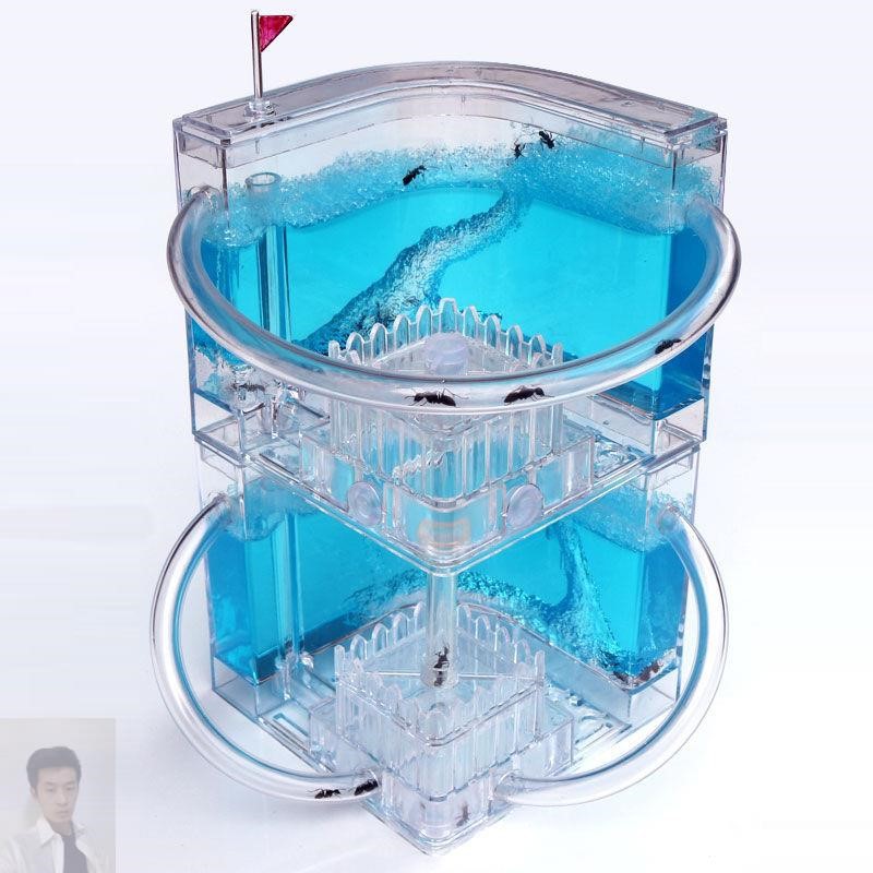 蚁蚁城堡繁殖箱箱宠物盒子工厂巢版窝穴超大活体养殖王国幼儿园