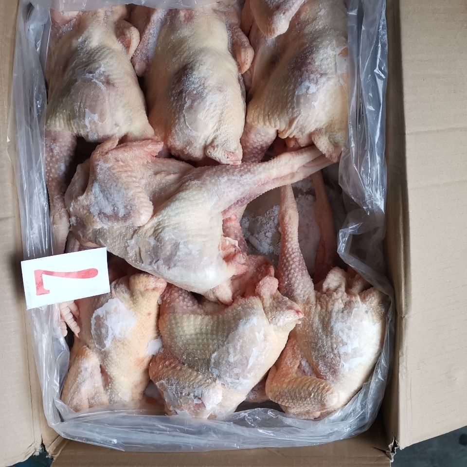 新鲜冷冻 红毛老母鸡炖汤老母鸡 淘汰蛋鸡土鸡 全净膛炖汤老母鸡