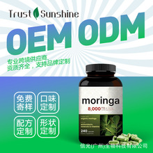 跨境贸易辣木油Moringa Oleifera跨境热销亚马逊爆款