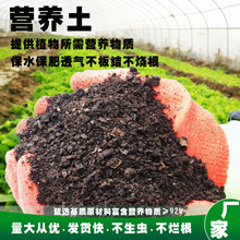 工厂批育苗营养土基质蛭石草炭土种花土种菜土壤绿萝有机肥泥炭土