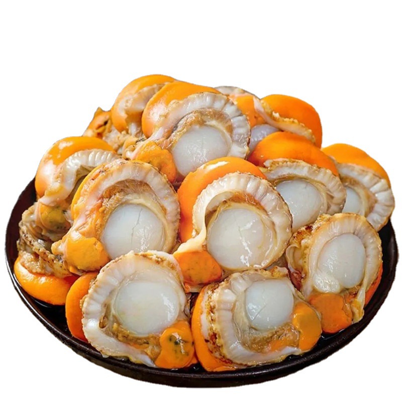 5斤包邮大号无冰扇贝肉现剥鲜冻扇贝肉约7cm带黄率高1斤约2540粒