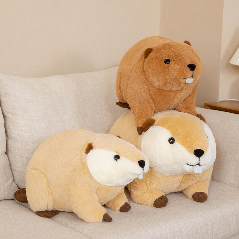 软萌海狸鼠抱枕儿童毛绒玩具波比熊河狸鼠公仔儿童陪伴玩偶批发