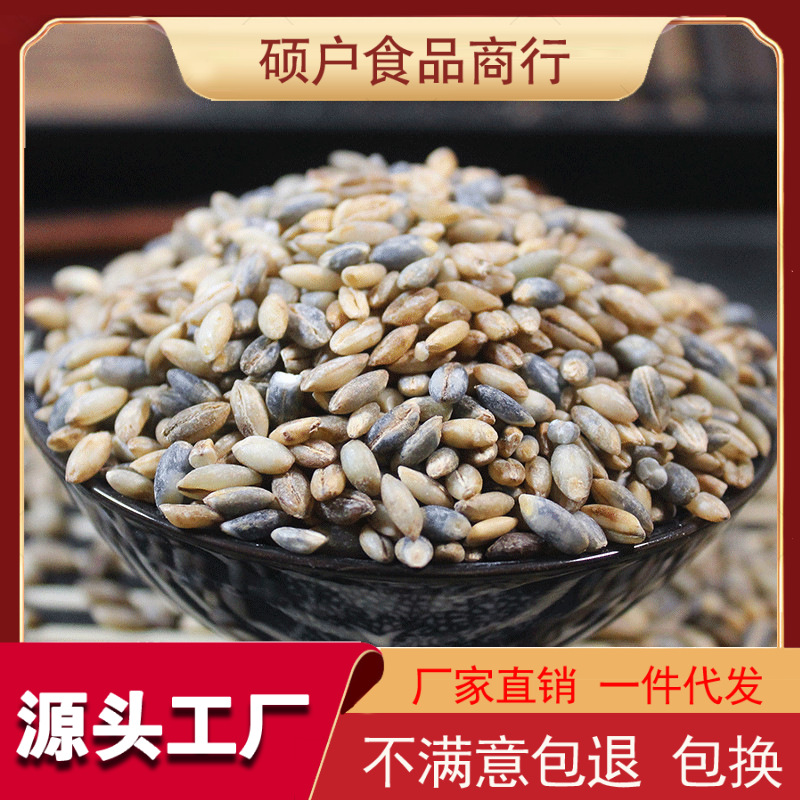 青稞米批发青海特产优质青麦仁高原青稞蓝青稞米 包邮食用农产品