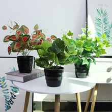 植物装饰小盆栽客厅室内外装饰塑料花办公室桌摆绿植假花