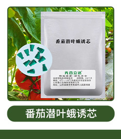 梨小食心虫诱芯信息诱芯昆虫信息素果园大棚梨子田园昆虫性诱剂