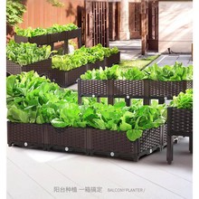 楼顶种菜箱泡沫塑料花盆家用阳台种菜盆室内蔬菜种植箱大花箱