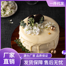 蛋糕转盘裱花台日式裱花转台做生日蛋糕转盘工具甜品台烘焙托盘