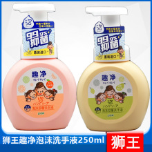 狮/王趣净泡沫洗手液250ml