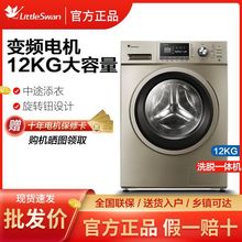 小天鹅TG120-1211DG 12公斤大型变频全自动滚筒洗衣机商用家用