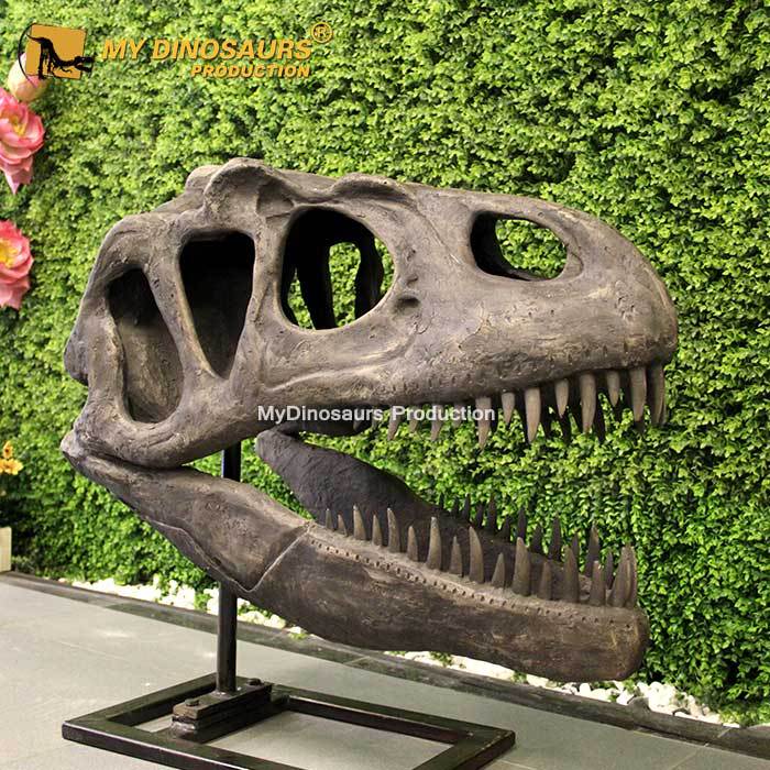 景区餐厅商场室内装饰高端摆件 异特龙头骨骨架 仿真玻璃钢骨骼