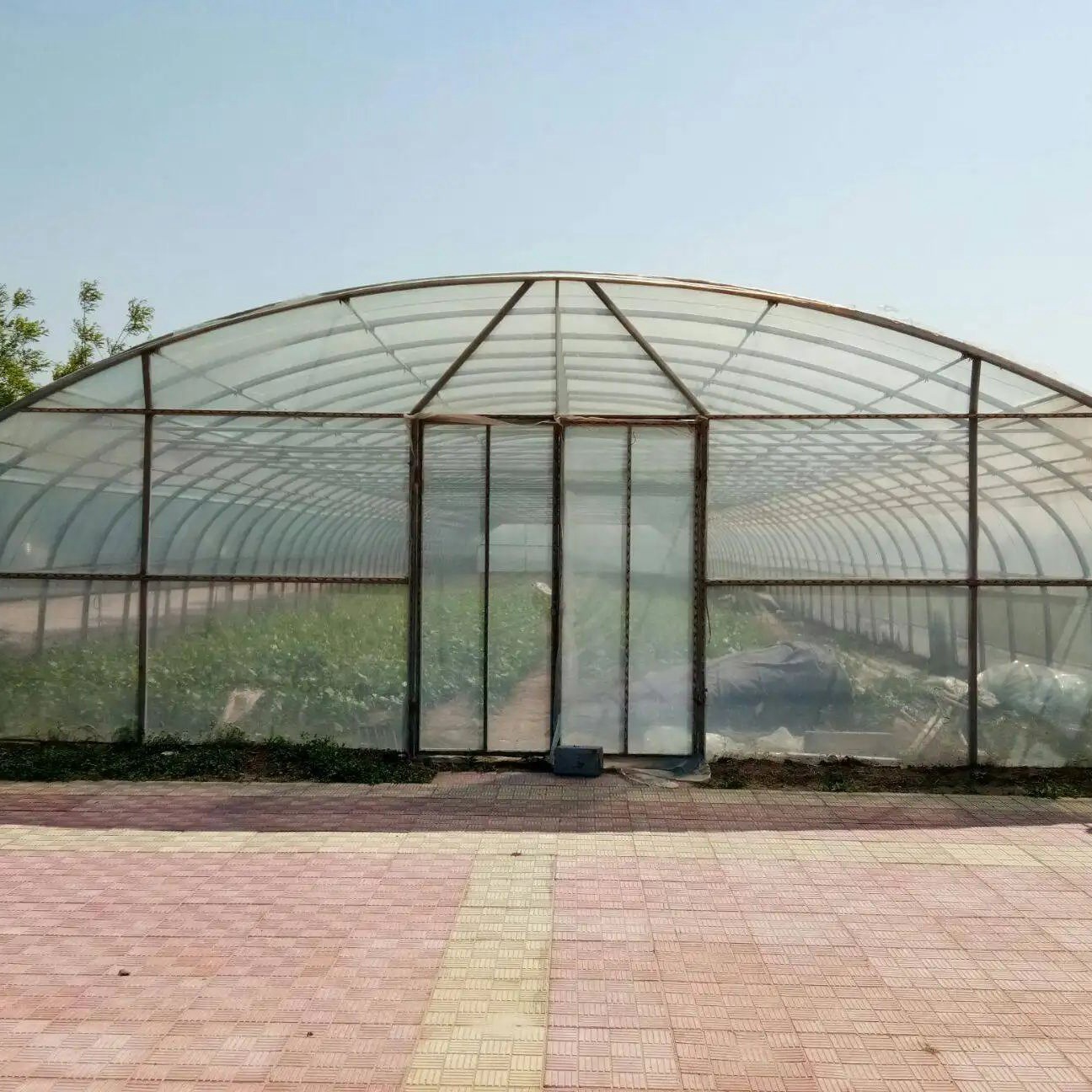 单体大棚温室大棚 阳光板连栋连体大棚骨架蔬菜花卉种植养殖大棚
