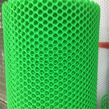 边坡防护绿化塑料护坡网格 PE透明网片垫底防护网 200g土工网格厂