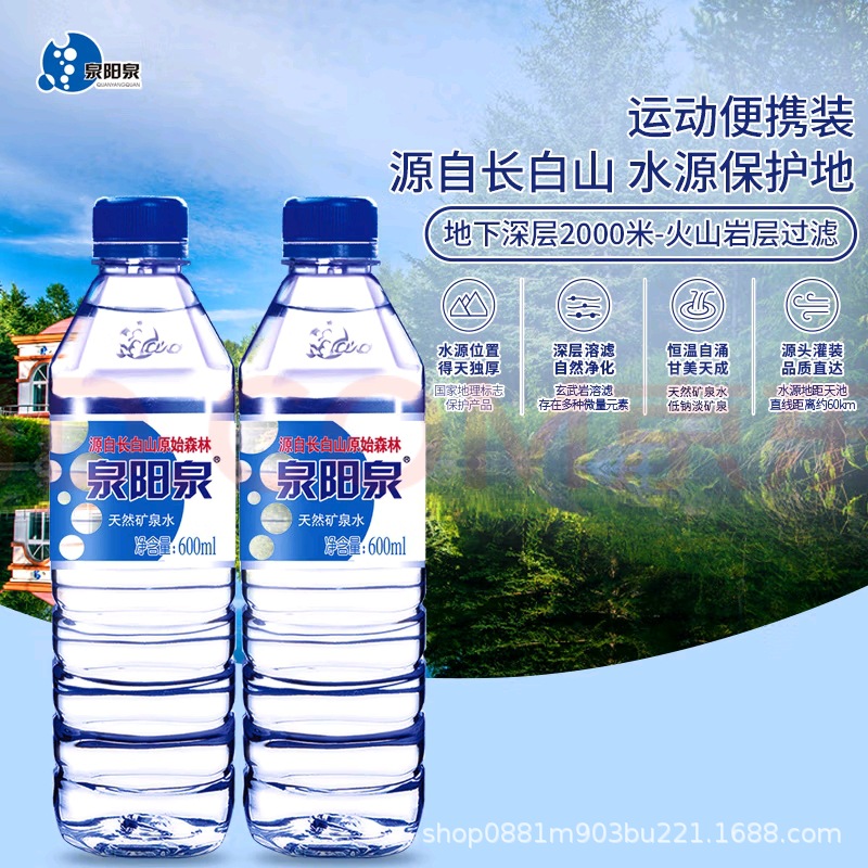 泉阳泉长白山天然矿泉水600lm *15瓶装   饮用水优质清凉