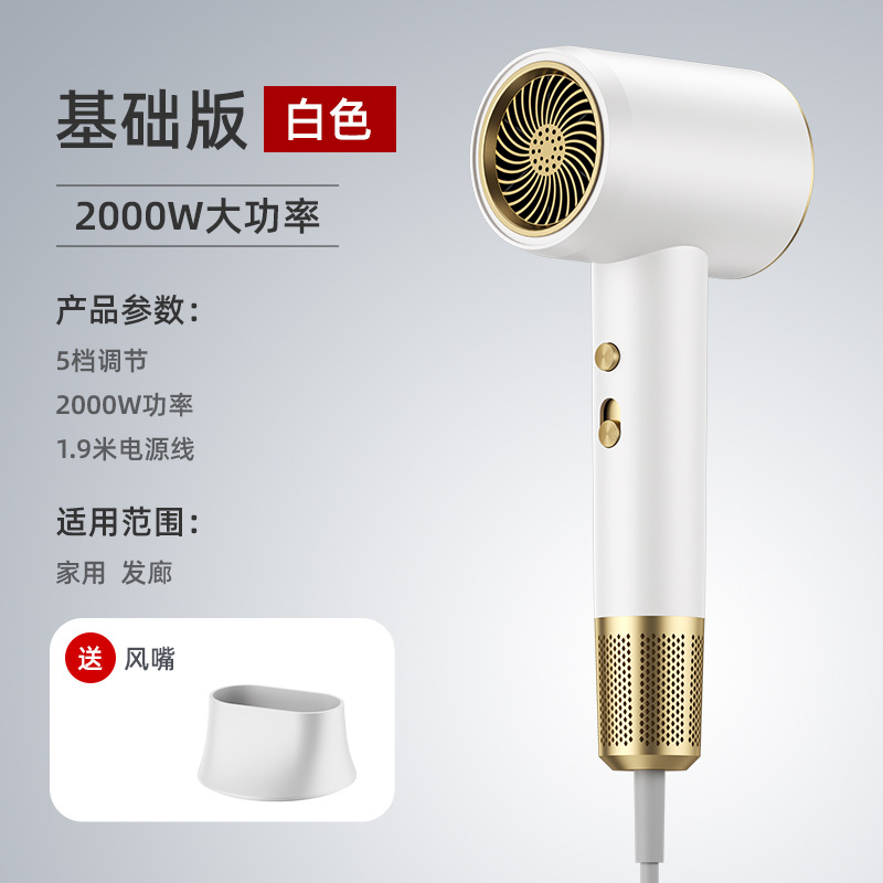 hair drier Cross-Border Hair Dryer Home Dormitory Heating and Cooling Air Negative Ion Internet Celebrity High Power Hair Salon Electric Hair Dryer Factory Wholesale