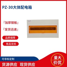 现货供应pz-30配电箱 强电空气开关回路箱 家用明装暗装电表箱