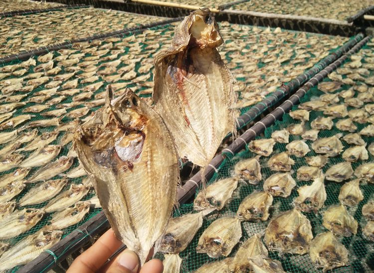 大地鱼干北海特产海鲜干货是铁脯鱼比目鱼干煲汤云吞调料滋补1斤