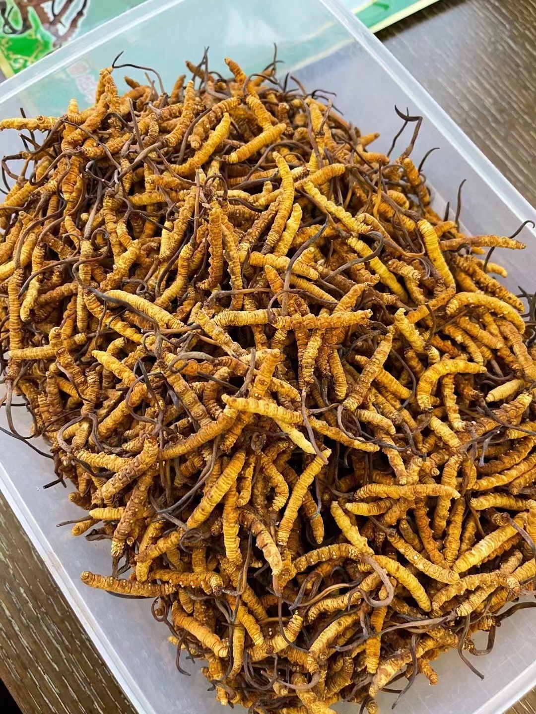 西藏那曲冬虫夏草冻干产地批发高海拔虫草礼盒装足干无断草无牙签