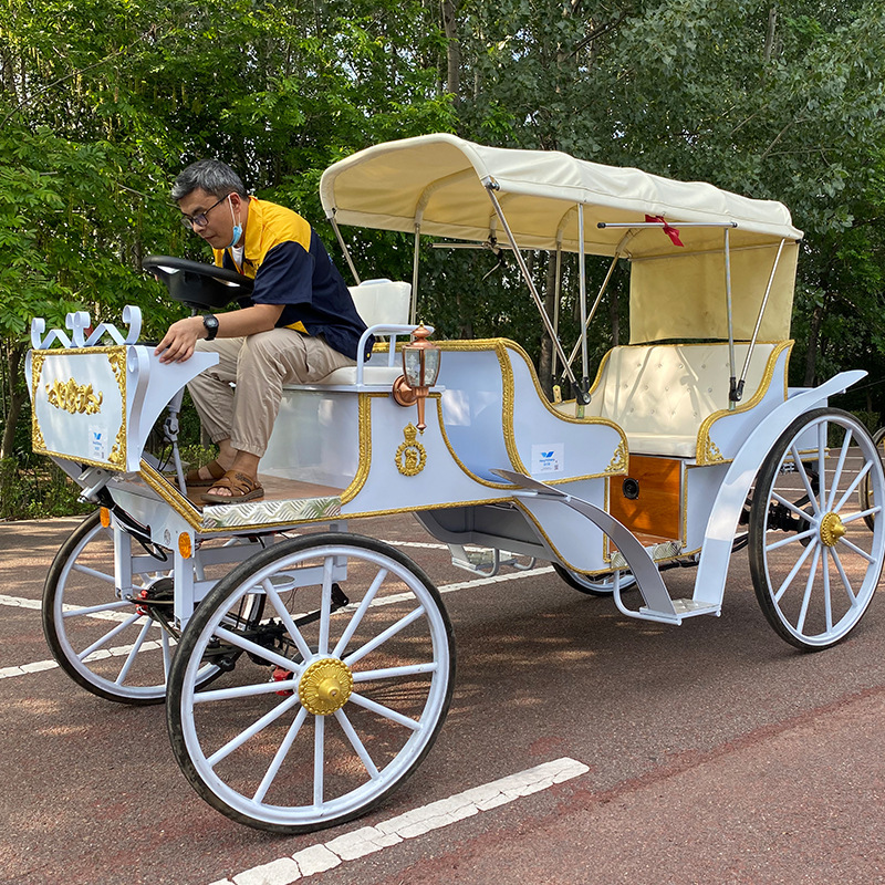 欧式双排观光铁艺马拉四轮户外景区游览商业展览影视道具电动马车