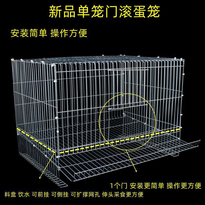 小鸡笼子家用芦丁鸡养殖笼小型滚蛋鹌鹑养殖鸽鹧鸪鹦鹉鸟类下蛋笼