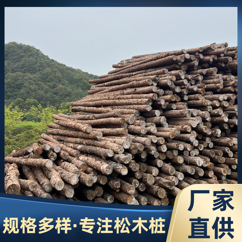 林场直发河道木桩打桩木工地河堤杉木桩护坡整治木桩原木桩打桩木
