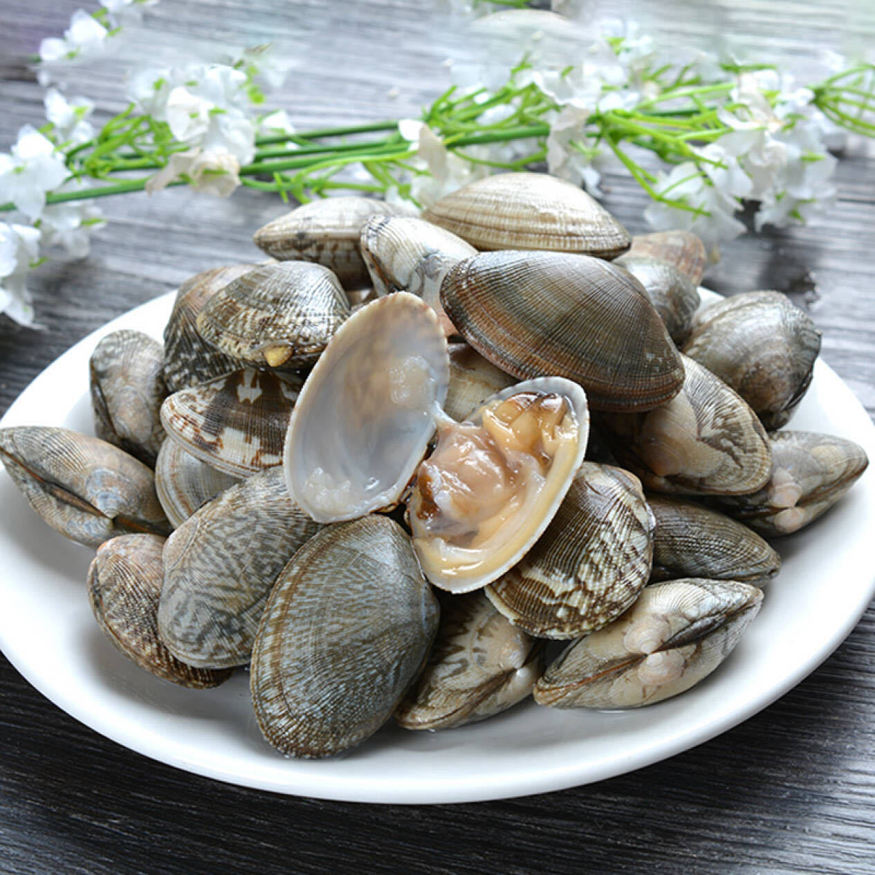 [当天捕捞]海鲜鲜活超大255—260只鲜活花蛤生鲜贝类无沙255—260