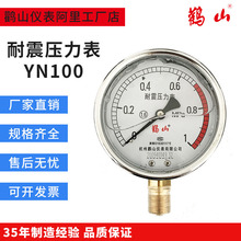 YN100 径向耐震压力表 耐震压力表 甘油表 空压机表 直立式压力表