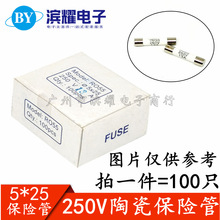 5X25 R055 陶瓷保险丝管 保险芯熔断器 5*25mm 250V RO55