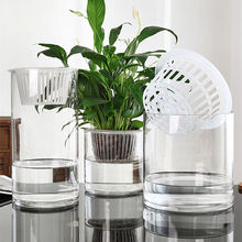 水培玻璃瓶植物透明直筒圆柱形花简约绿萝白掌养容器代发一件批发