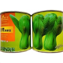 秀青梗菜种子夏王1号耐热耐湿油菜上海青菜种子中国农科院育成