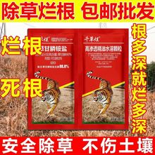 88.8%千草烂 草甘膦铵盐 烂根死根不伤土 除草剂