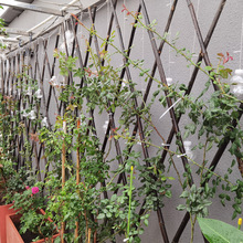 竹篱笆栅栏户外围墙护栏竹子围栏室外庭院花园竹竿菜园搭架爬藤架
