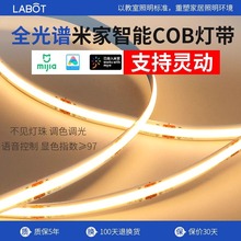 中山灯具批发24VCOB线形灯自粘客厅吊顶388珠语音调色调光LED灯带