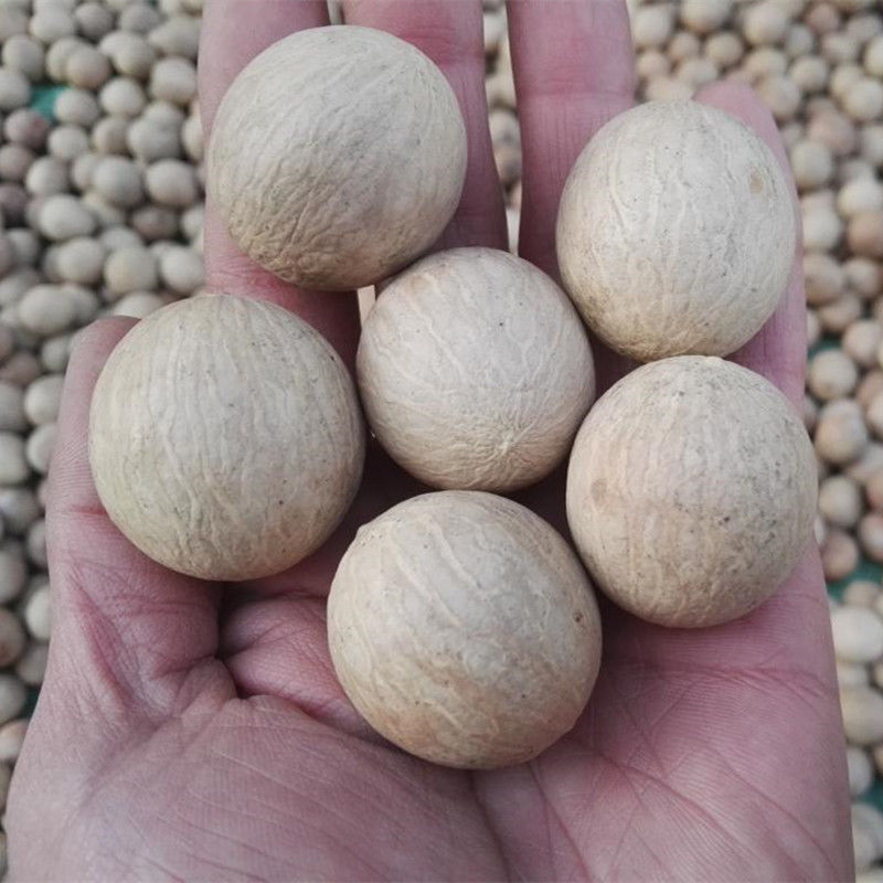 菩提根原籽风化果白玉菩提子佛珠手串手链骰子戒指原料按斤