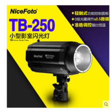 耐思TB250W摄影棚闪光灯影室摄影灯柔光套装拍照补光照相拍摄