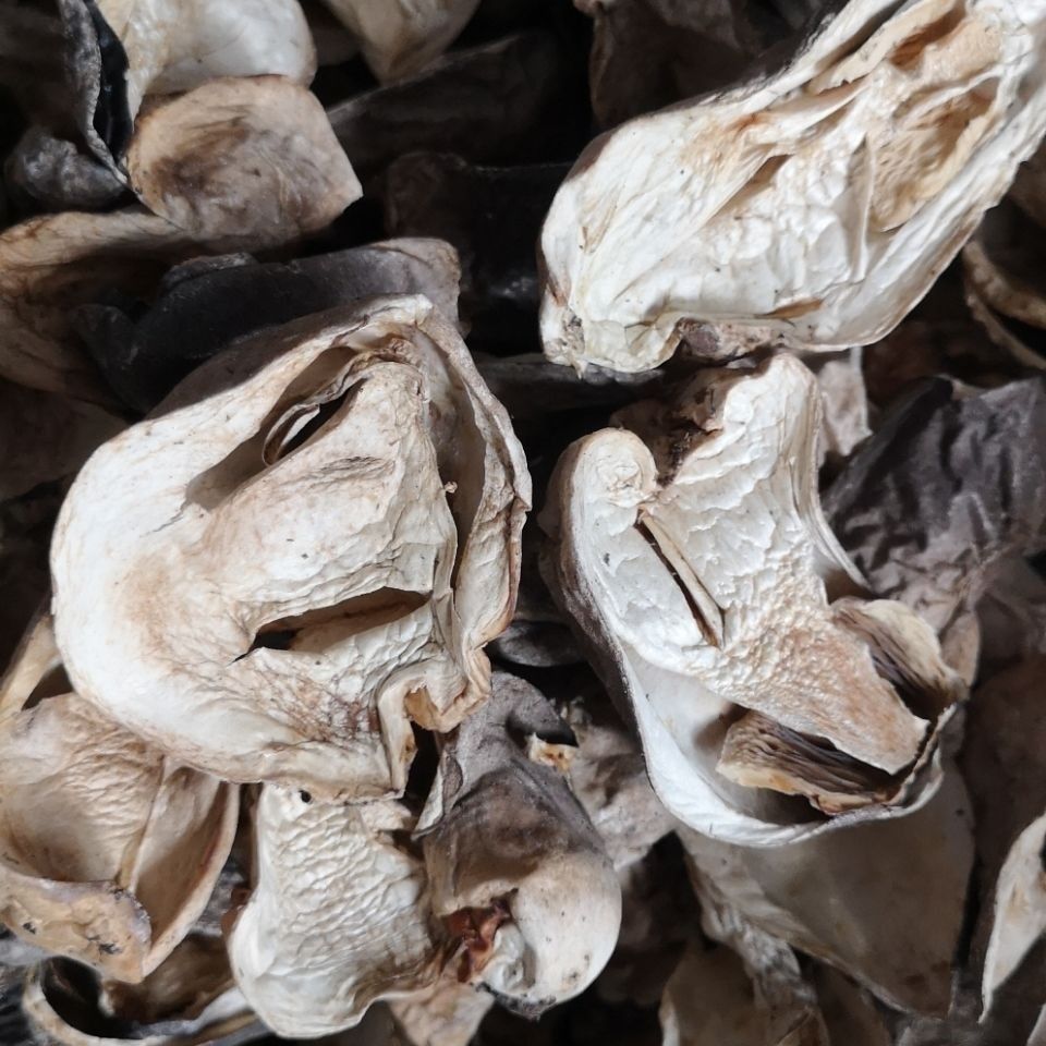 新货2022年草菇特级干农家种植肉质肥嫩口感好