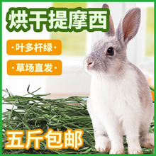 2023烘干提摩西草饲料龙猫荷兰猪兔粮干草兔子牧草双面铝塑袋装