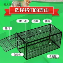 全自动捕猫笼捉猫笼抓猫笼特大号新款野猫流浪猫宠物猫家猫麦太保
