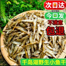 小鱼干干货淡水无盐千岛湖特产鱼干农家250g小鱼干商用小鱼仔干货