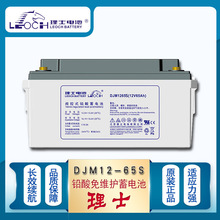 理士12V蓄电池DJM12V100AH/38AH/6H/150AH/200AH/24AH直流屏UPS
