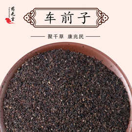 提取物洋车前子壳