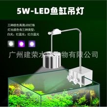 5W鱼缸吊灯LED夹灯鱼缸照明水陆缸造景灯