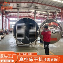 草莓无花果真空冷冻干燥机 果蔬脆片低温真空冻干机 肉铺冻干机