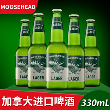 moosehead魔书拉格啤酒 350ml*24瓶 24罐装 加拿大进口啤酒整箱