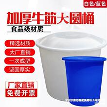 牛筋塑料桶大水桶加厚圆桶大号储水桶酿酒发酵桶腌菜养鱼桶洗澡桶